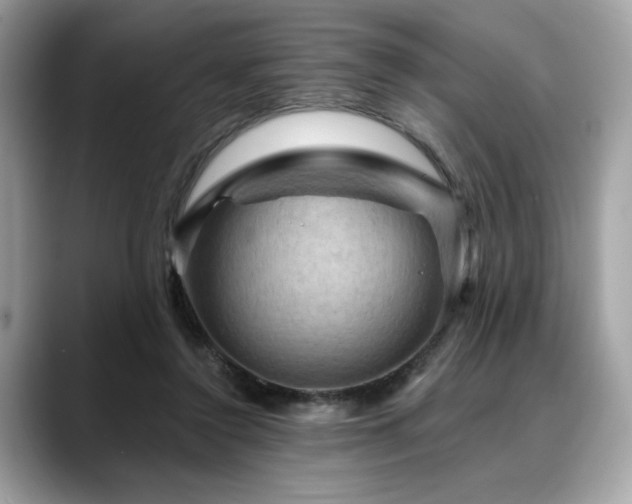 X0000088750356200705311516