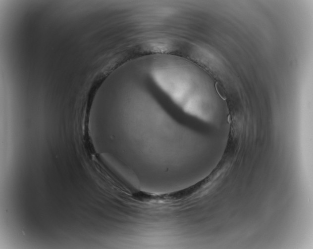 X0000088750358200705311516