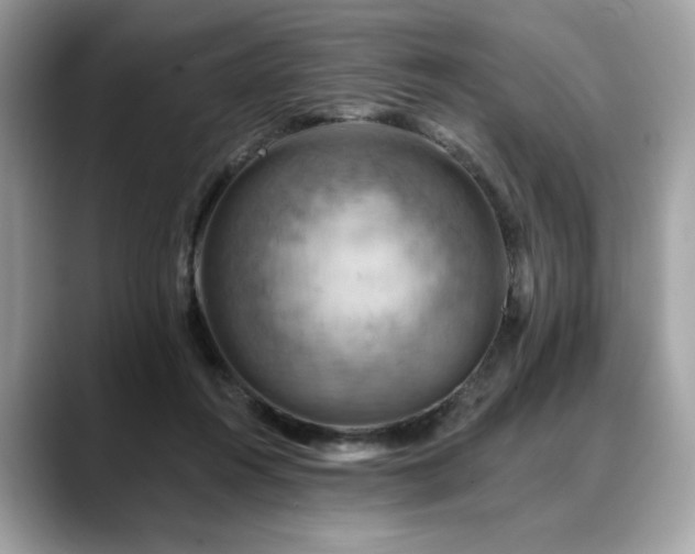 X0000088750360200705311516
