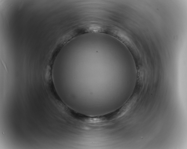 X0000088750361200705311516