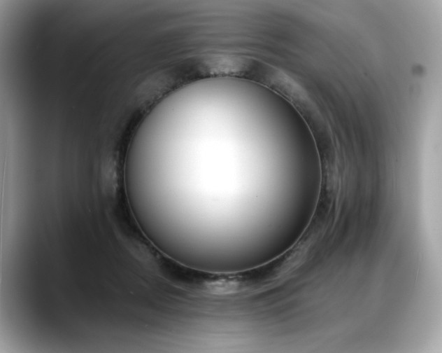 X0000088750362200705311516
