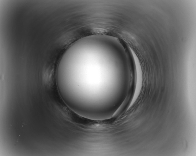 X0000088750364200705311516