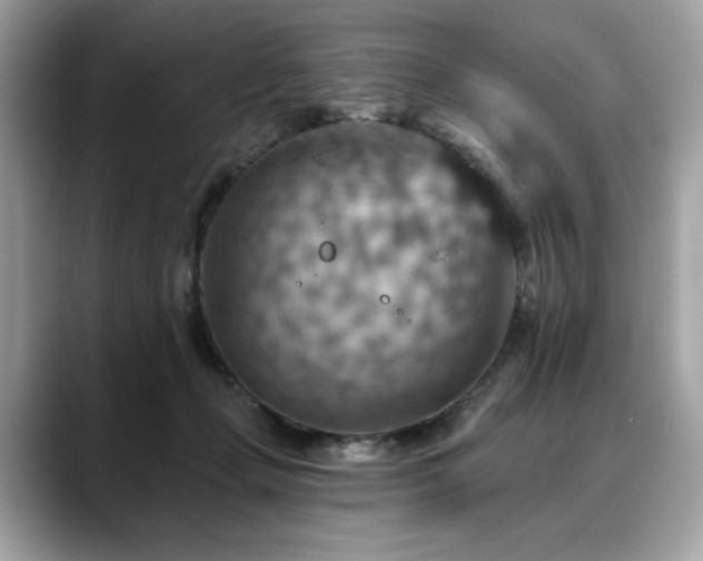 X0000088750365200705311516