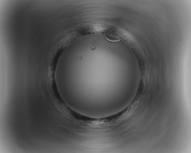 X0000088750366200705311516