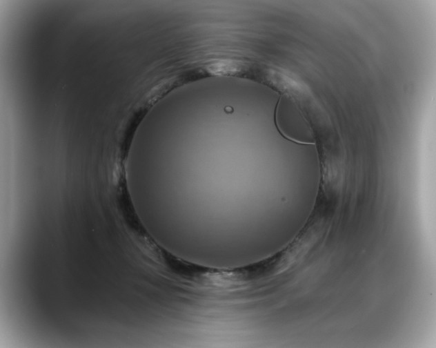 X0000088750367200705311516