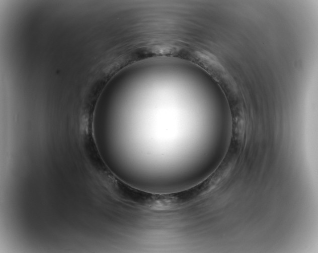 X0000088750368200705311516