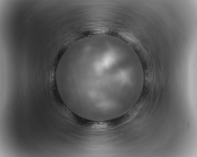 X0000088750369200705311516