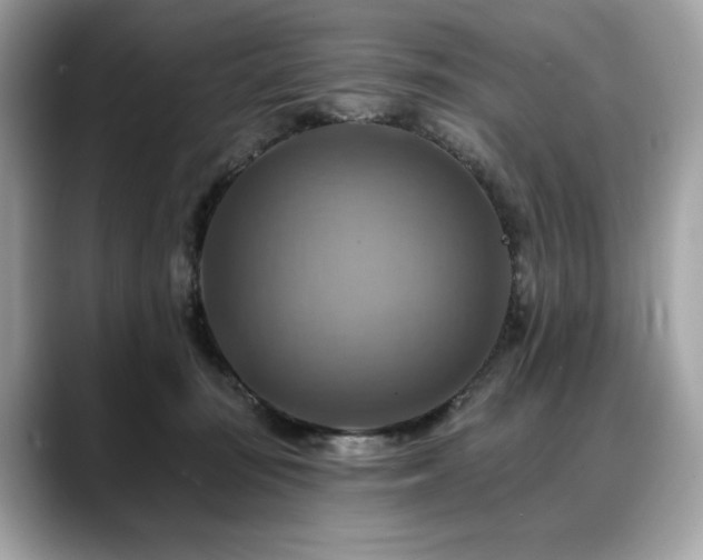 X0000088750371200705311516