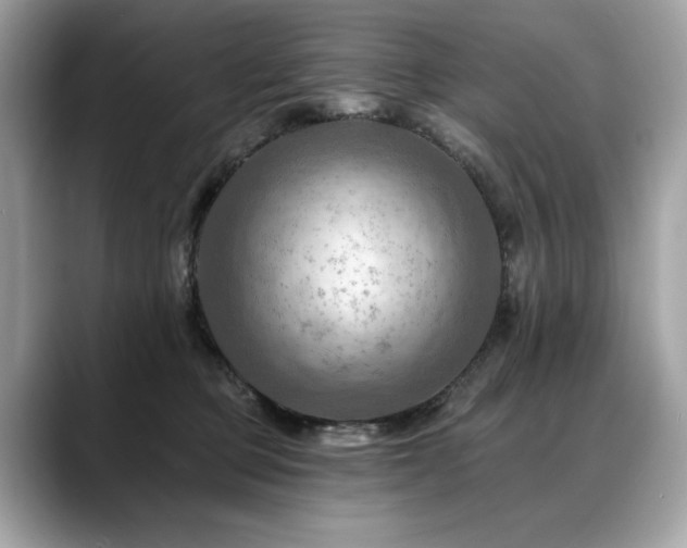 X0000088750373200705311516