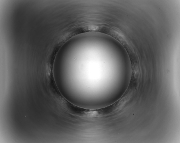 X0000088750374200705311516