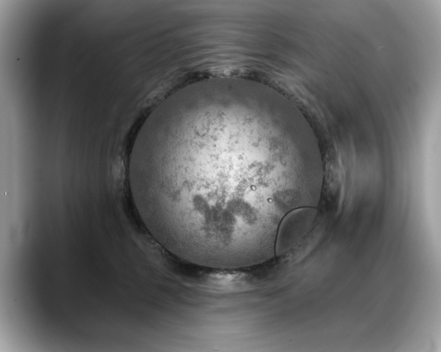 X0000088750375200705311516