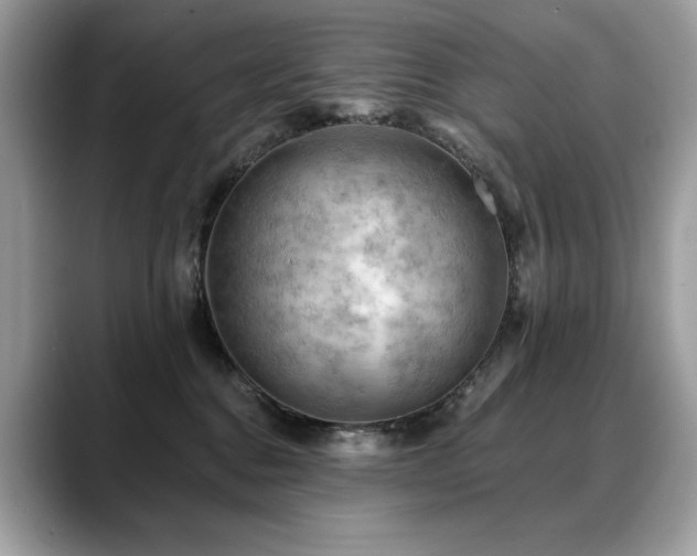 X0000088750376200705311516