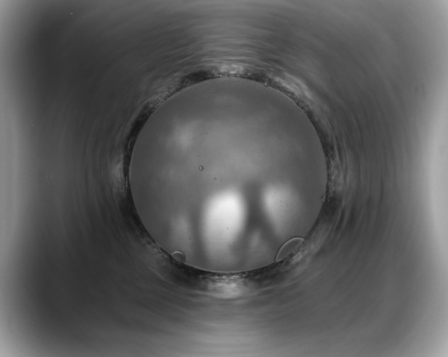 X0000088750377200705311516