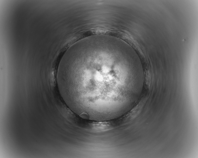 X0000088750378200705311516