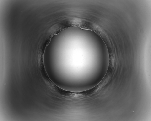 X0000088750379200705311516