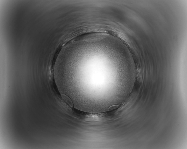 X0000088750381200705311516