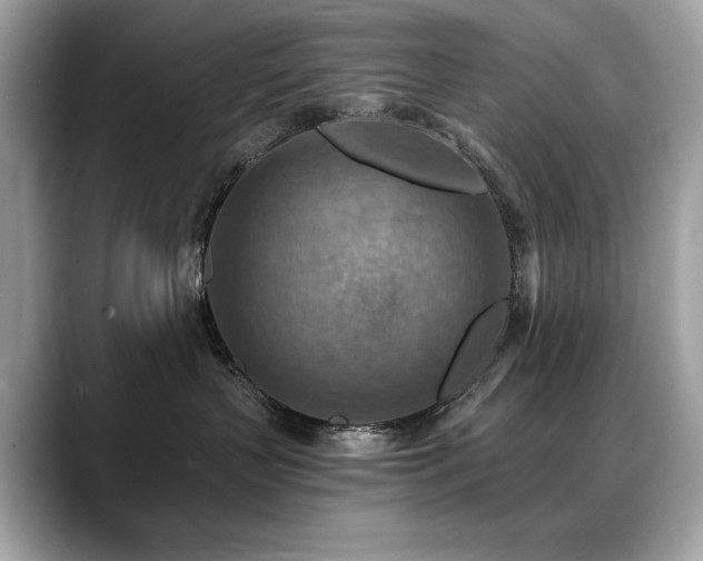 X0000088750383200705311516