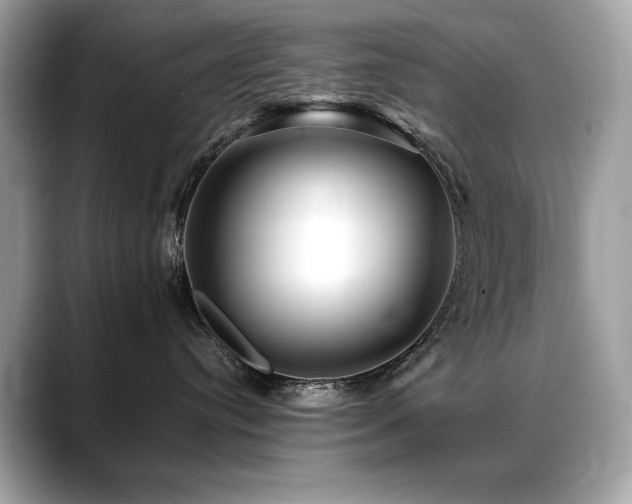 X0000088750384200705311516