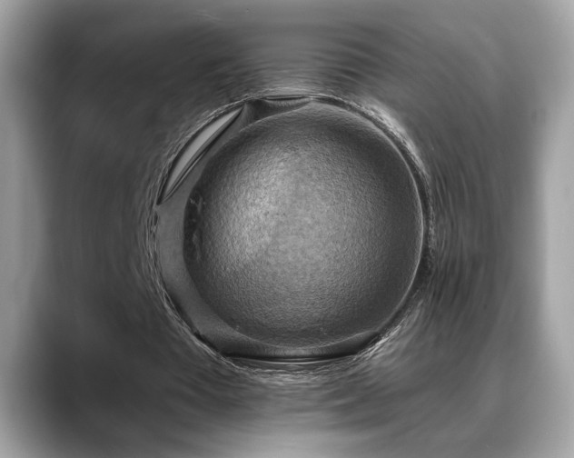 X0000088750385200705311516