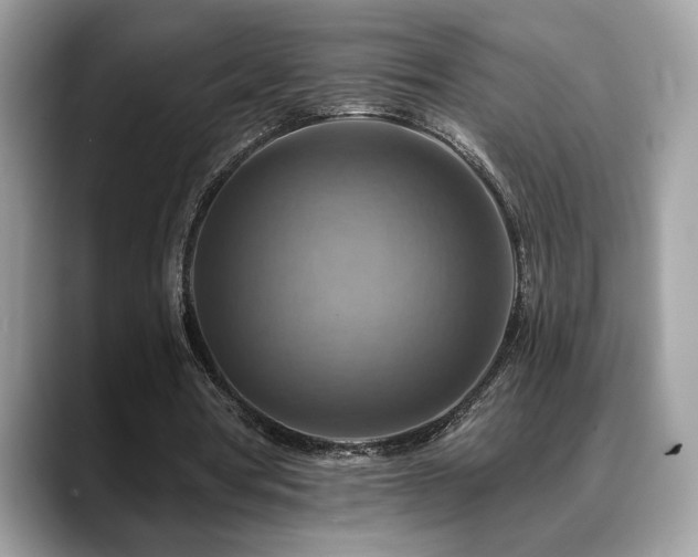X0000088750386200705311516