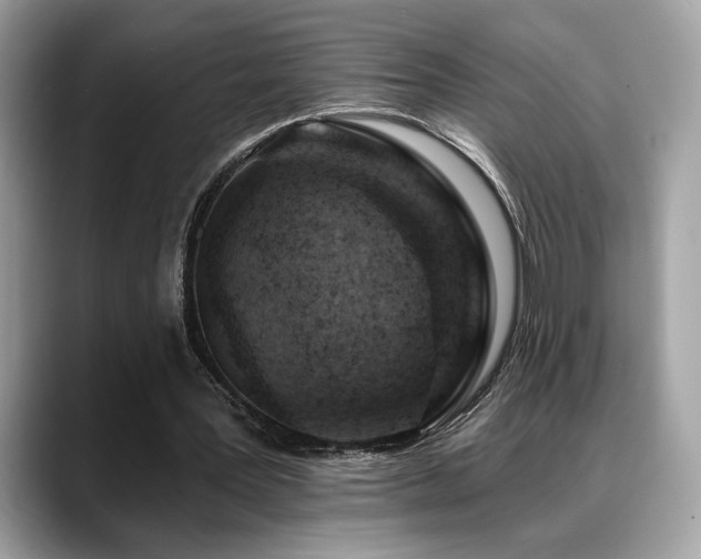 X0000088750387200705311516