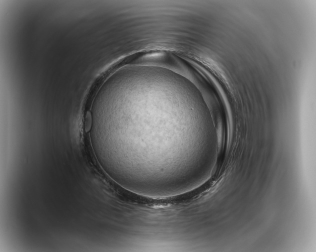 X0000088750388200705311516