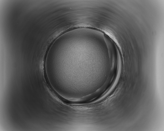 X0000088750389200705311516