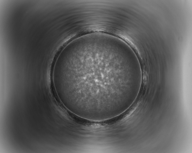 X0000088750390200705311516