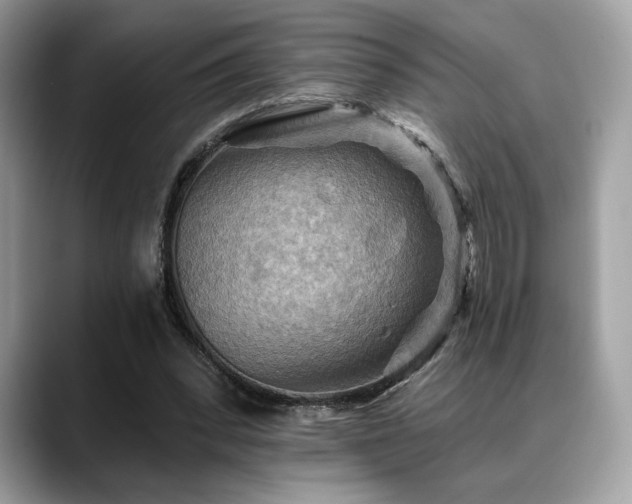 X0000088750392200705311516