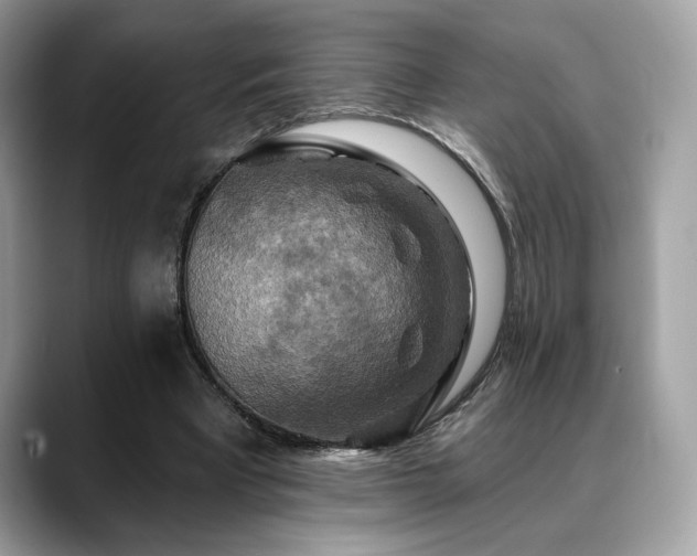 X0000088750393200705311516