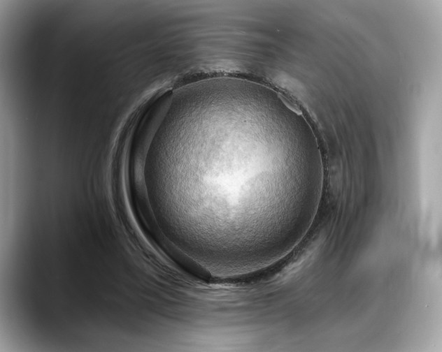 X0000088750395200705311516