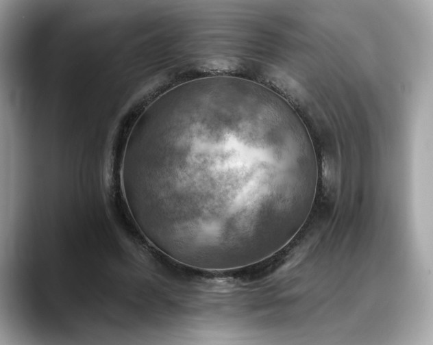 X0000088750396200705311516