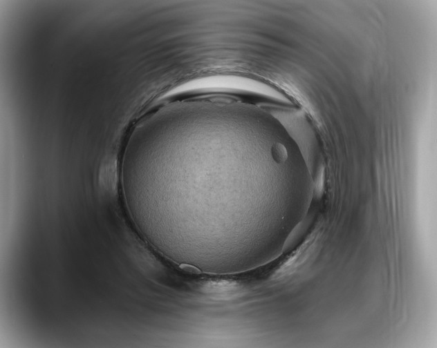X0000088750397200705311516