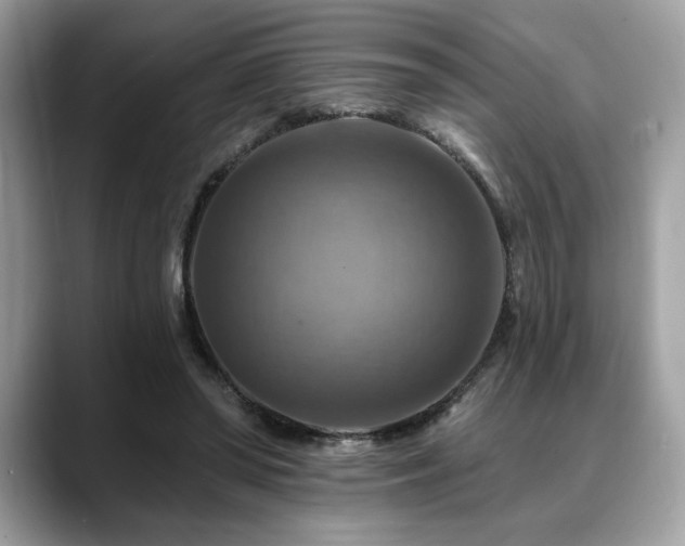 X0000088750398200705311516