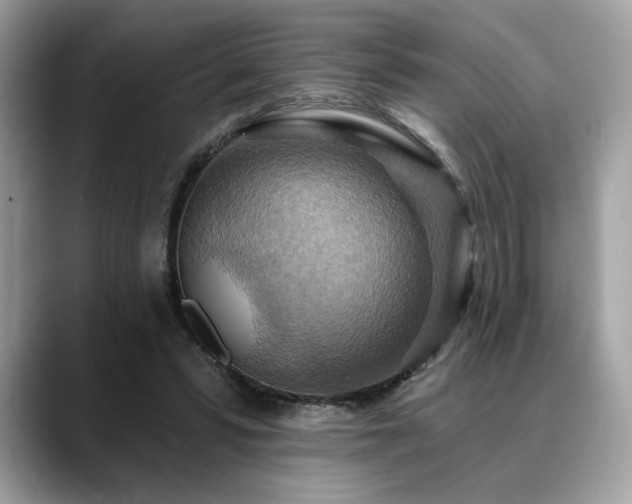 X0000088750399200705311516