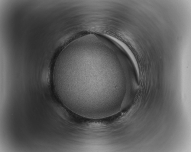 X0000088750400200705311516