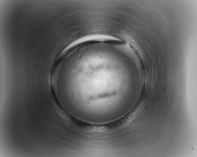 X0000088750401200705311516