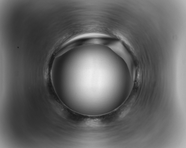 X0000088750403200705311516