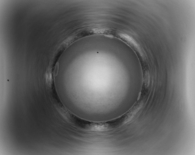 X0000088750405200705311516