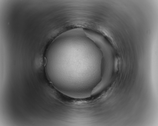 X0000088750407200705311516