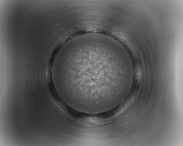 X0000088750408200705311516