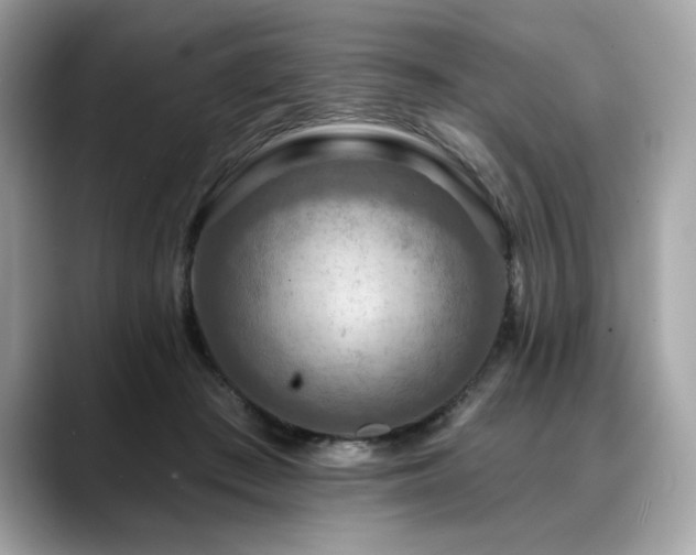 X0000088750409200705311516