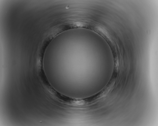 X0000088750410200705311516