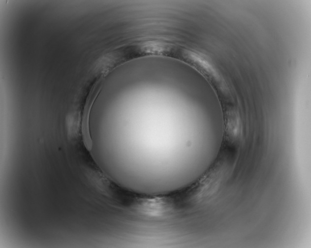 X0000088750411200705311516