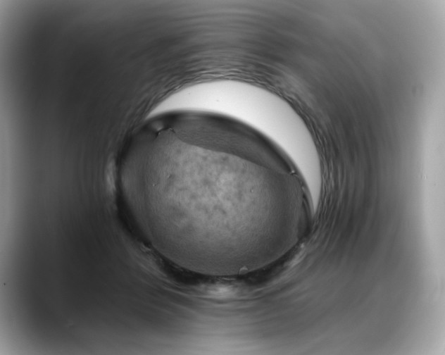 X0000088750412200705311516
