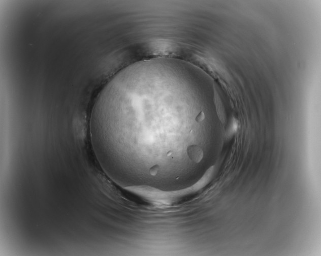 X0000088750413200705311516