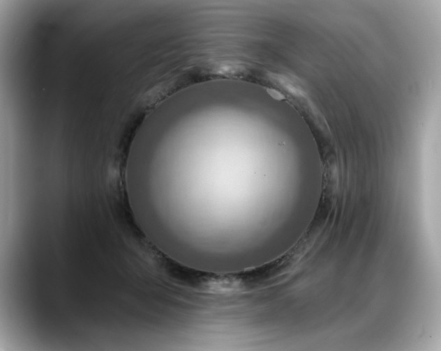 X0000088750415200705311516