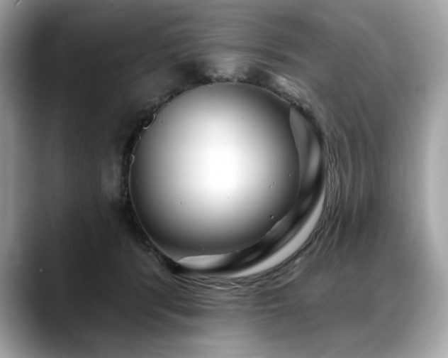 X0000088750416200705311515