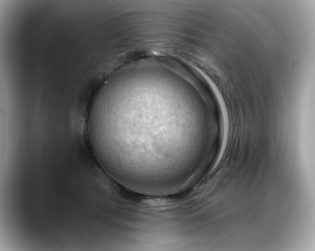 X0000088750417200705311515