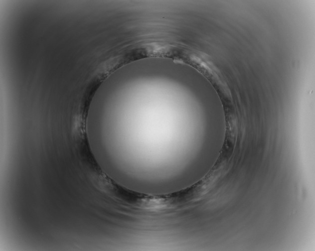 X0000088750419200705311515